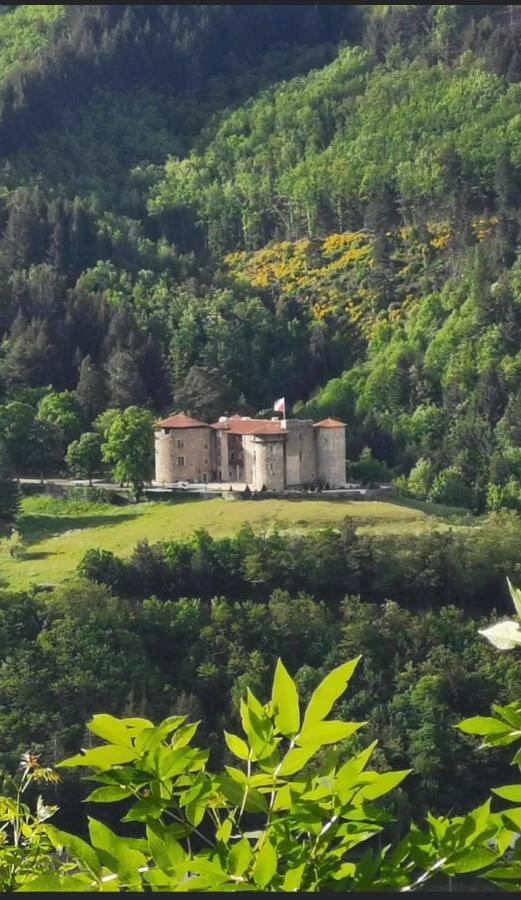Chambre D'Hotes De La Riaille 400 M De La Dolce Via Le Cheylard Esterno foto